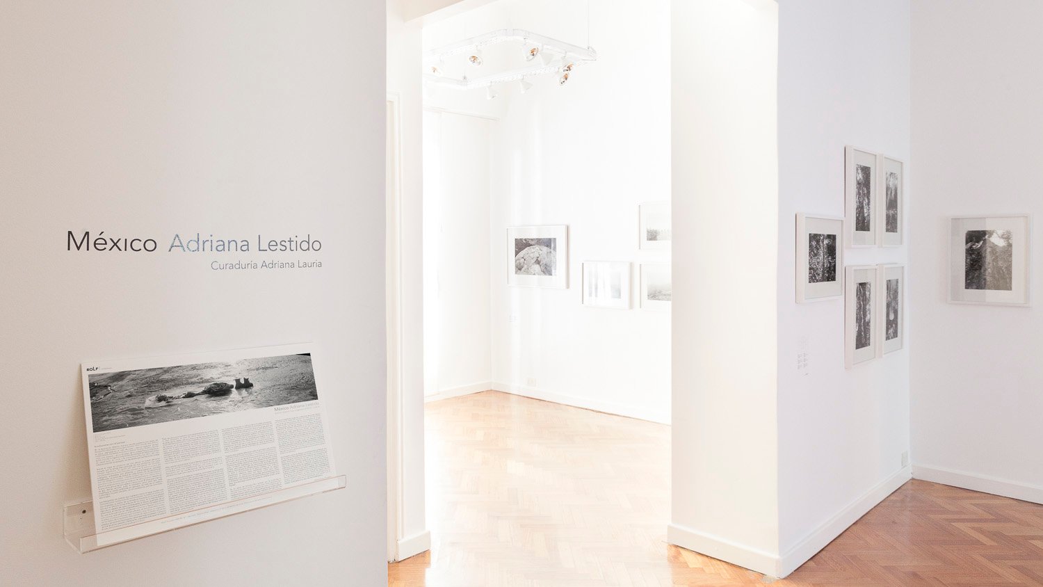 Rolf Art - Adriana Lestido - Mexico - mar-jun 2015 02