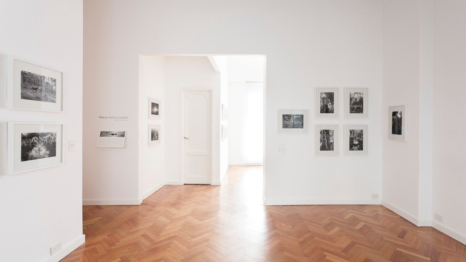 Rolf Art - Adriana Lestido - Mexico - mar-jun 2015 04