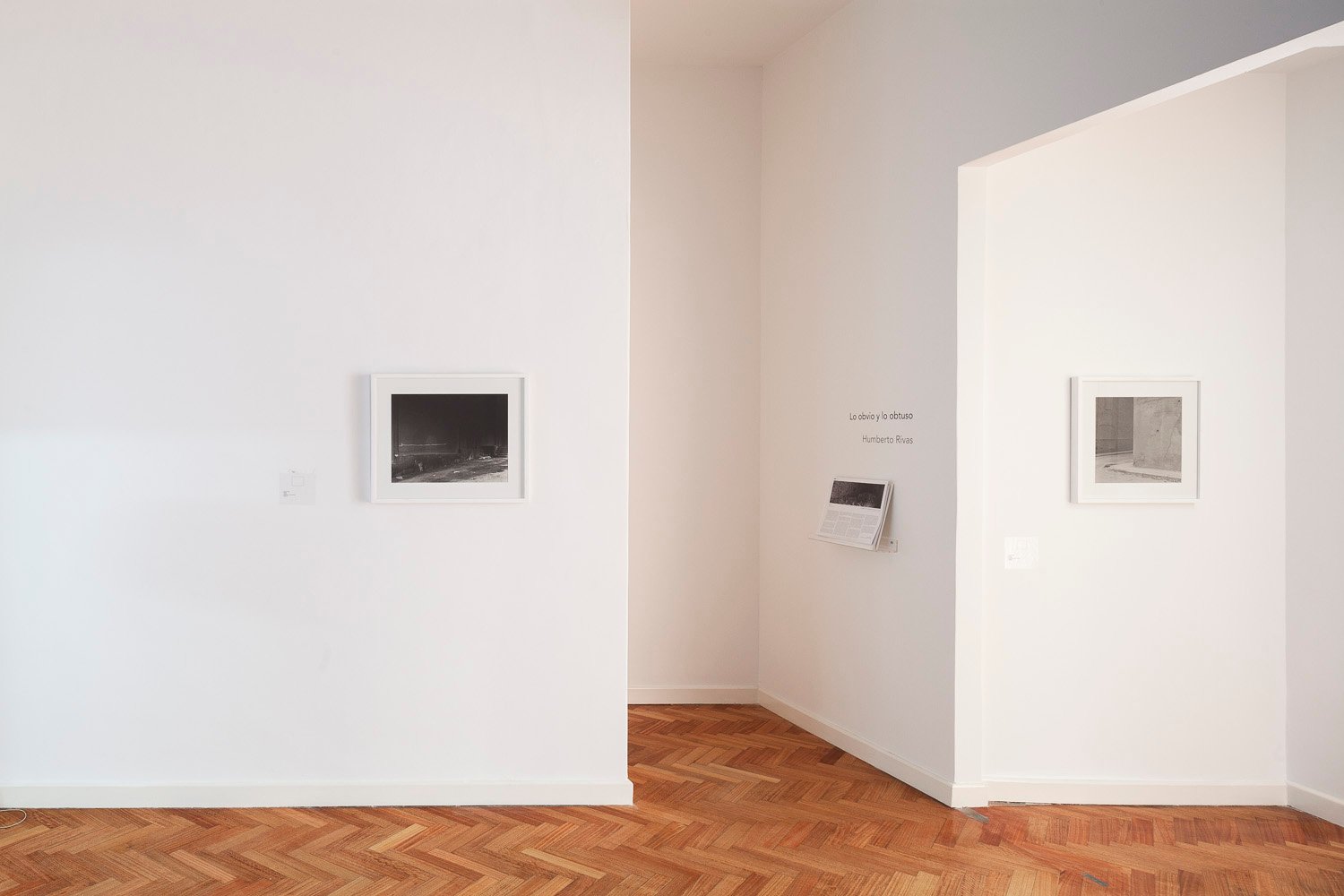 javier agustin rojas_rolft art, humberto rivas_IMG_2695_low