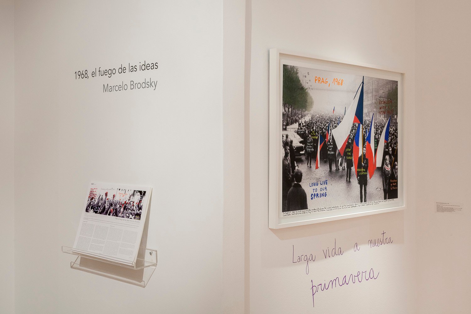 01_javier agustin rojas_rolf brodsky_IMG_4814_low