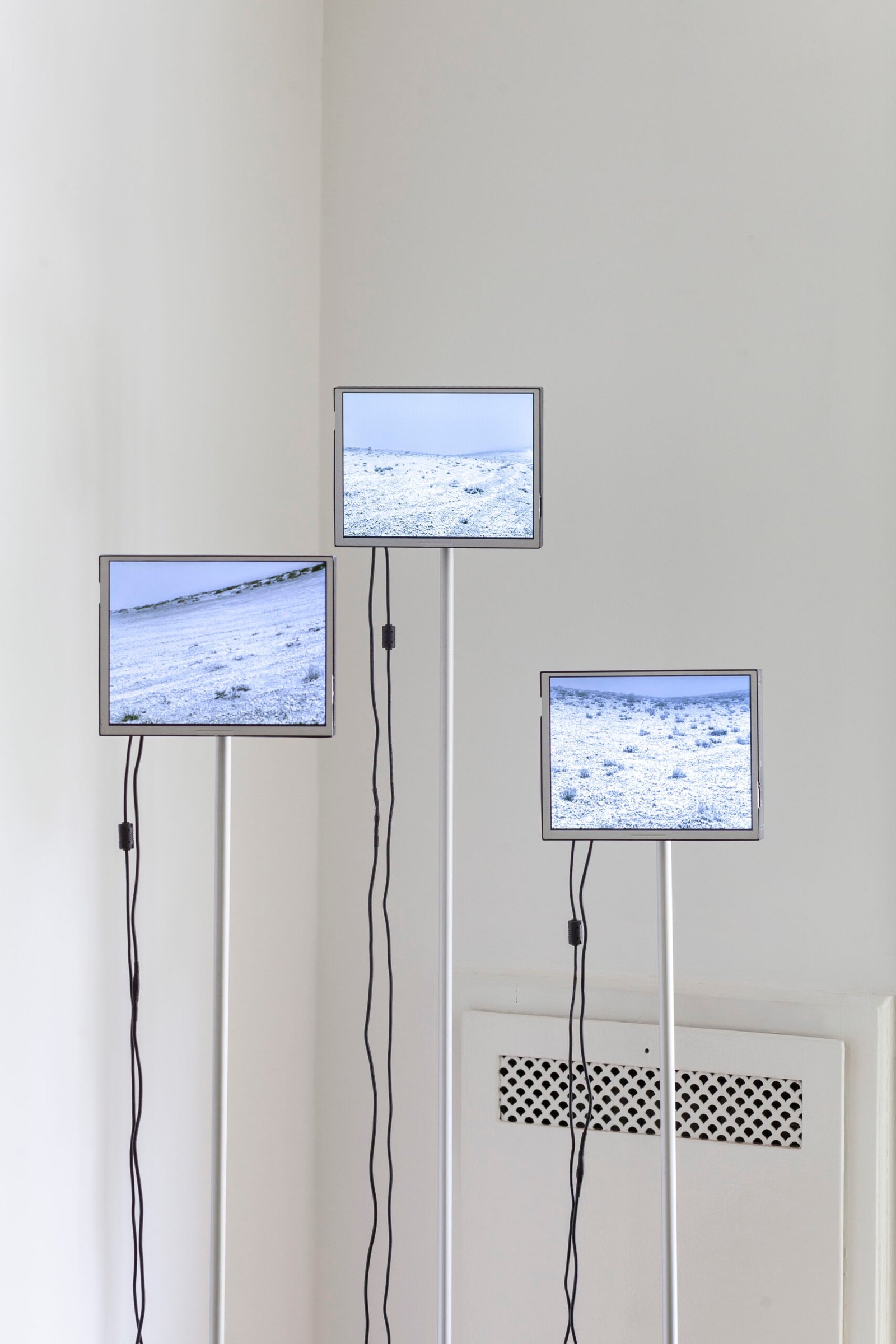 Rolf _ Sala _ Silvia Rivas _ Momentum _ PH Javier Agustin Rojas 22