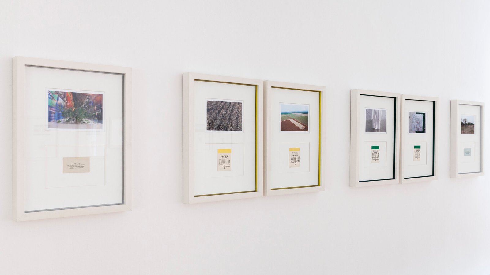 javier agustin rojas_rolf interior_IMG_3294