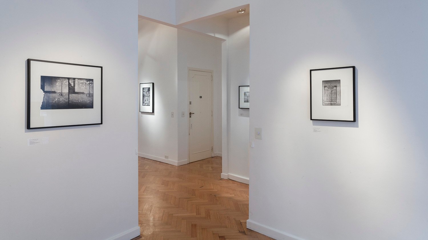 javier agustin rojas_rolf parisier_IMG_5491_low