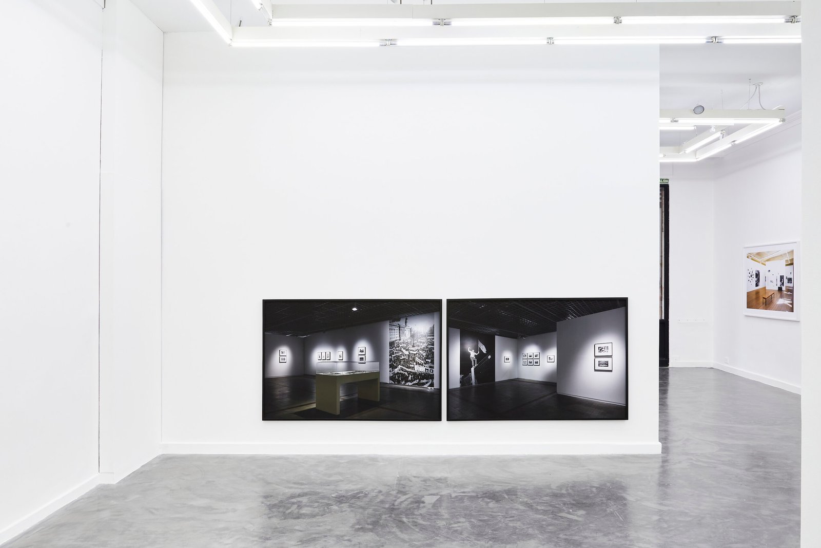 WEB_PhClaraNerone__MG_5105